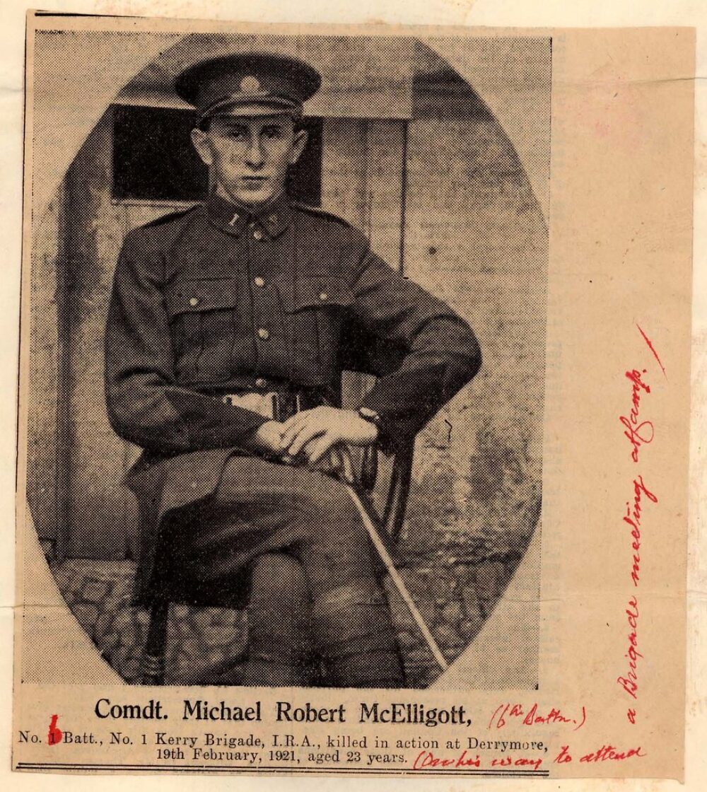 3 A6 B 2 1 Mc Elligott Michael Robert pg 237