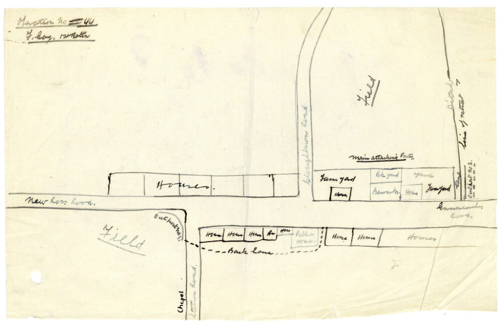 31029247767 db39c15f16 b