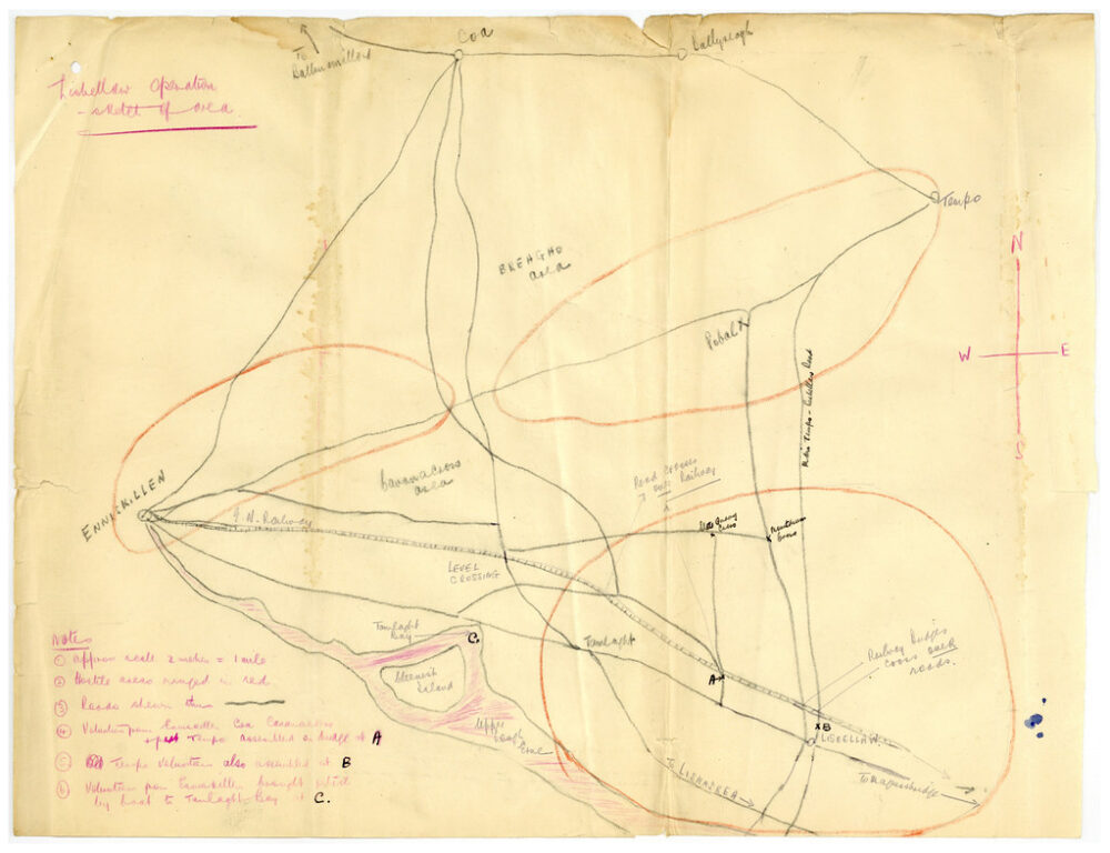 45060810915 593e8c9d78 b