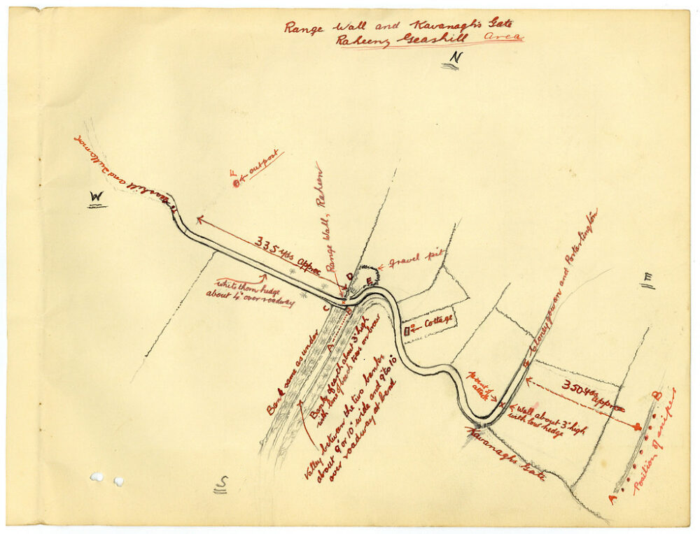 45243909074 9d431de2a3 b