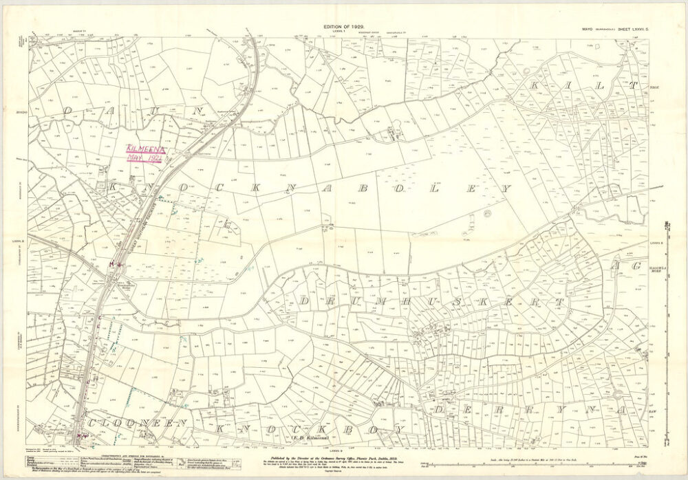 45918926462 cba486c1c9 b