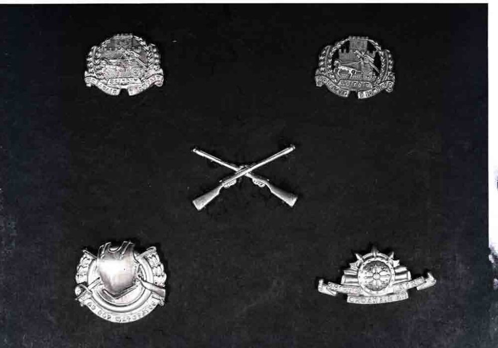 Army Collar Badges 2024 07 25 081705 esab