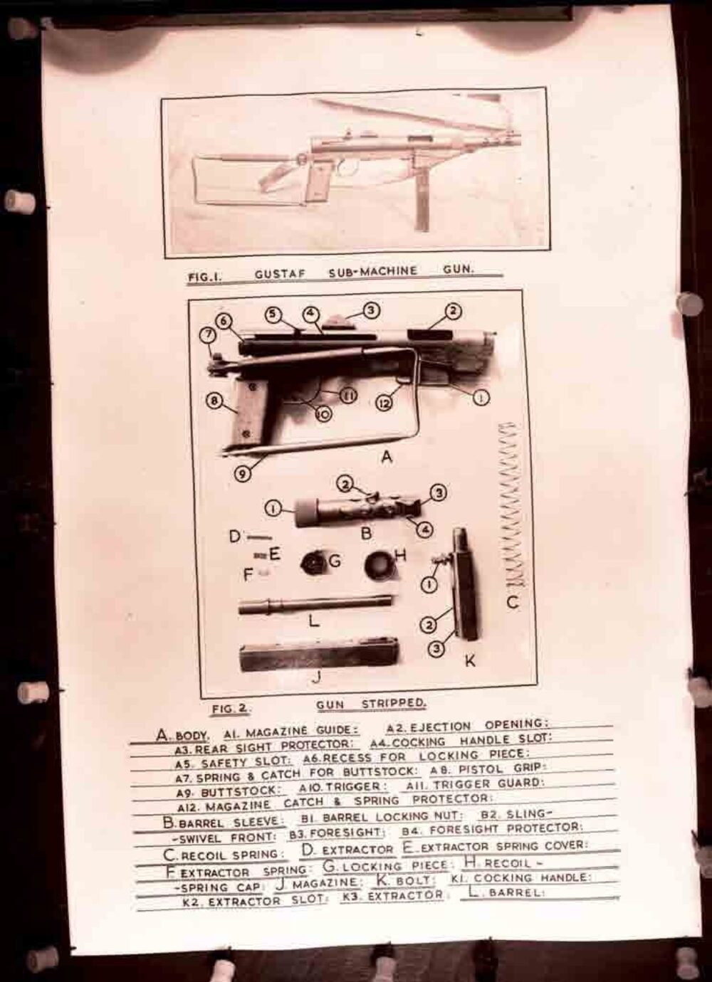 IE MA ACPS GPN 079 6