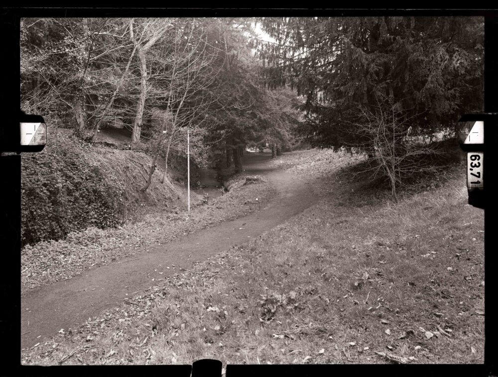 IE MA ACPS GPN 311 2