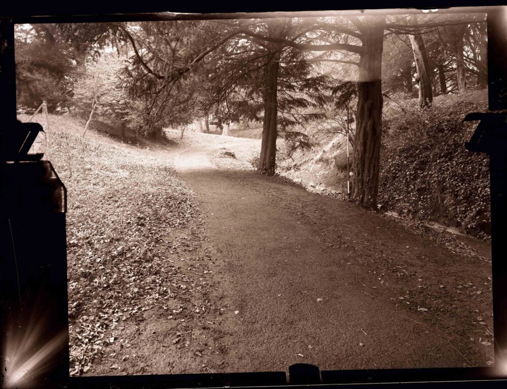 IE MA ACPS GPN 311 3