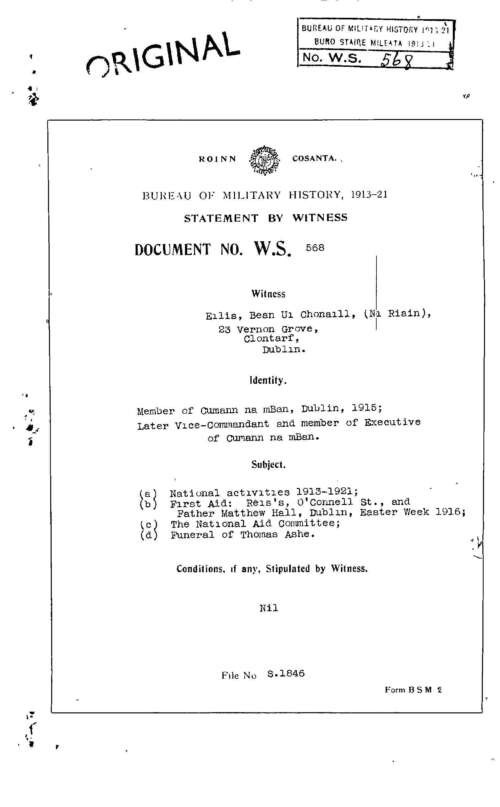 To read a more detailed account of Eilá­s Uá­ Chonaill's 1916 service click on the image to browse her witness statement.
